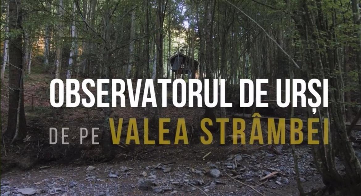 מלון Sinca Noua Valea Salbatica מראה חיצוני תמונה