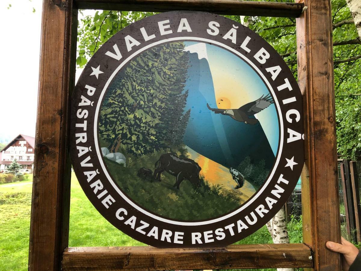 מלון Sinca Noua Valea Salbatica מראה חיצוני תמונה